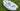 New Stowaway - Portable Inflatable Dinghy | True Kit