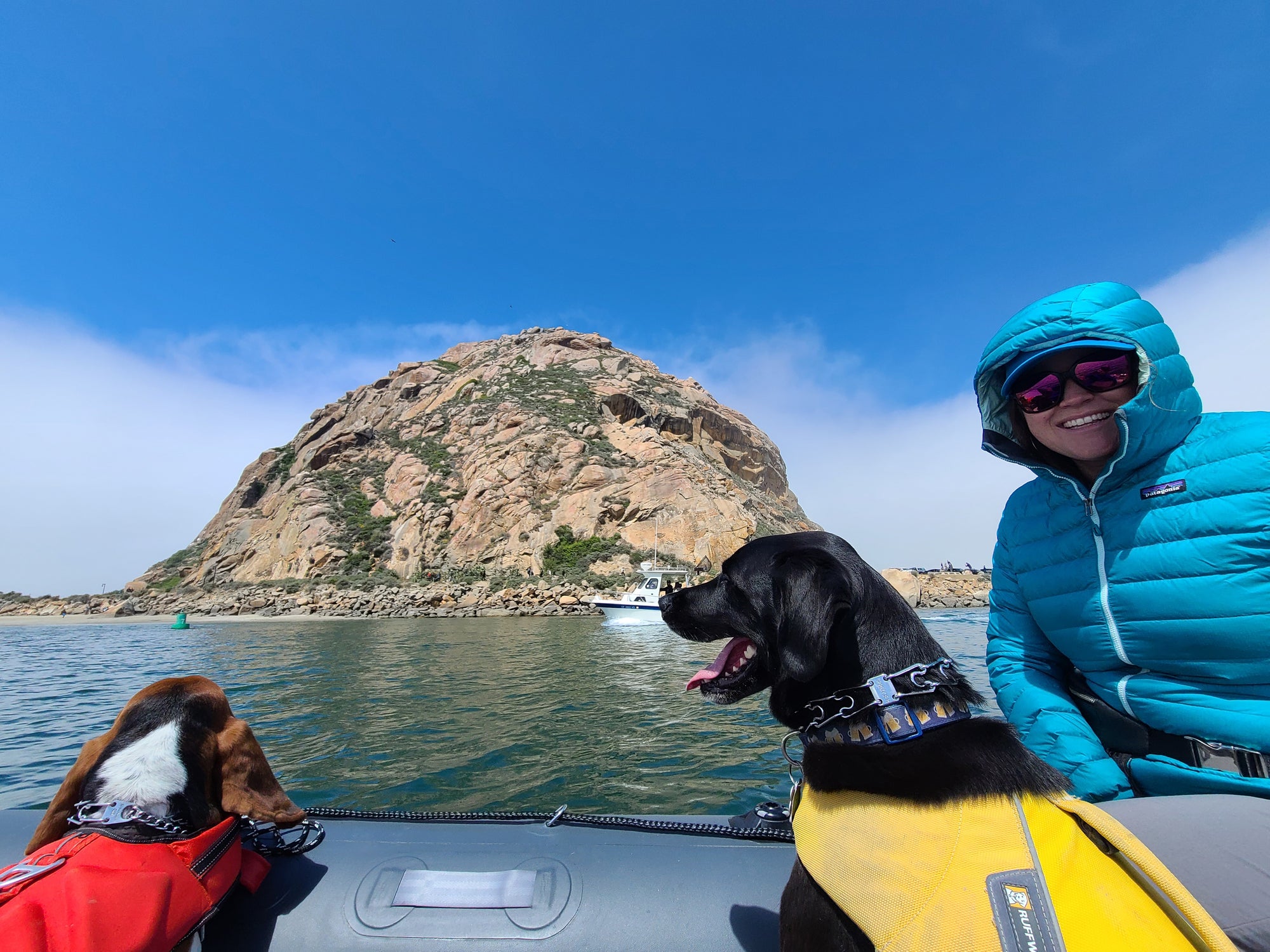 True Kit boats are dog friendly