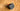 QuickLok Transom Mount | True Kit