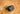 QuickLok Transom Mount | True Kit